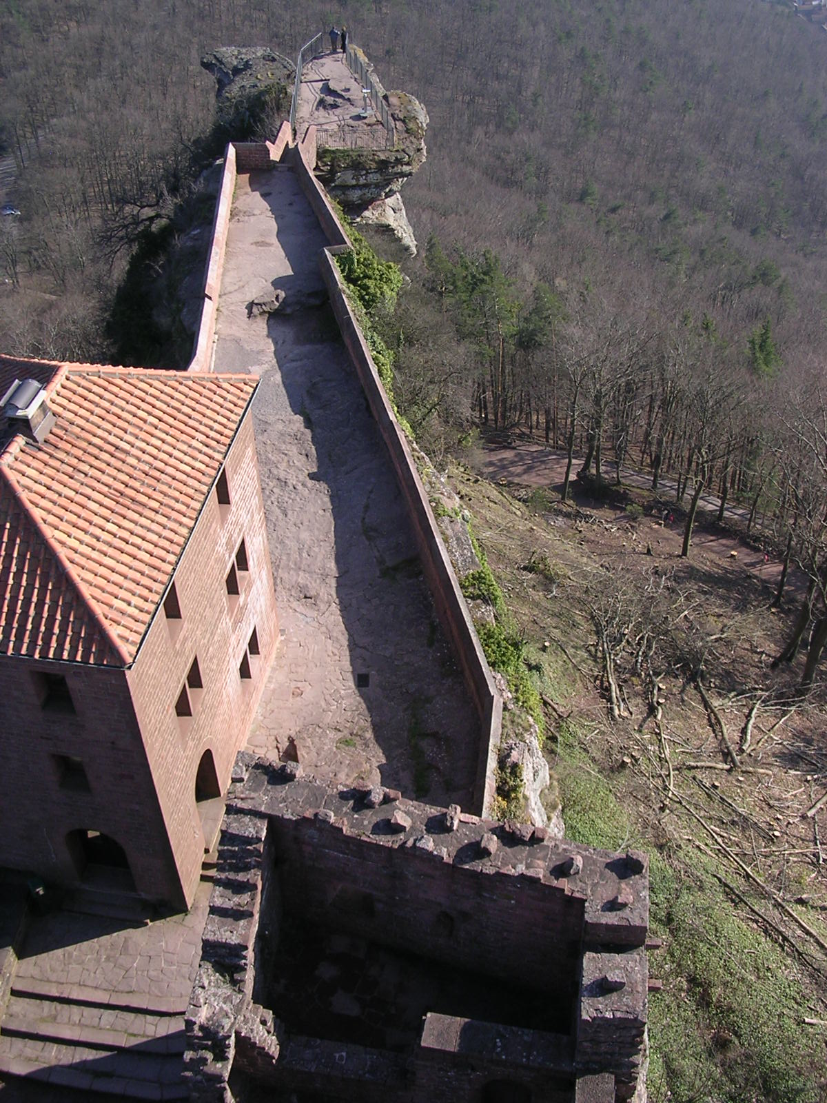 trifels06
